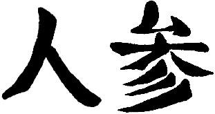 renshen.gif (2931 Byte)